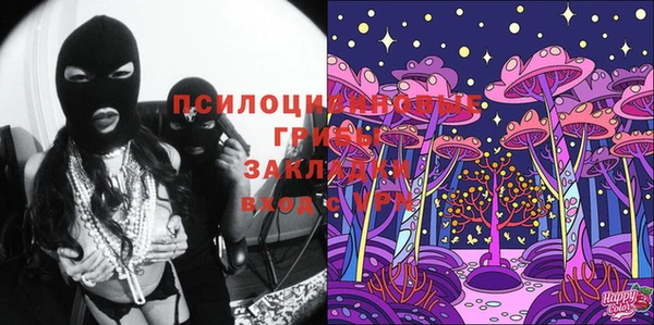 твердый Арсеньев