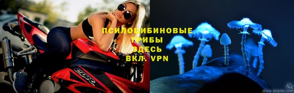 твердый Арсеньев