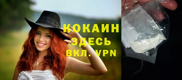 твердый Арсеньев