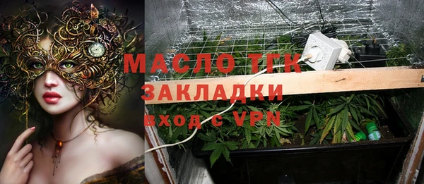 твердый Арсеньев