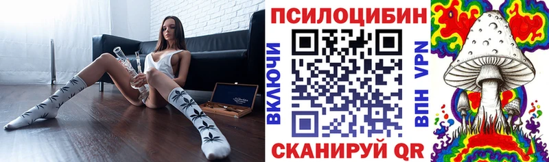 как найти закладки  Нижнеудинск  Псилоцибиновые грибы MAGIC MUSHROOMS 